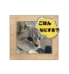のりお＆あさりV2（個別スタンプ：17）