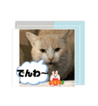 のりお＆あさりV2（個別スタンプ：21）