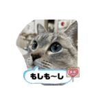 のりお＆あさりV2（個別スタンプ：23）
