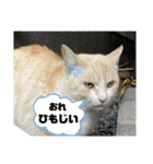 のりお＆あさりV2（個別スタンプ：24）
