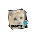 のりお＆あさりV2（個別スタンプ：27）