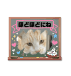 のりお＆あさりV2（個別スタンプ：30）