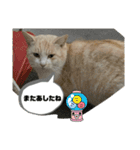 のりお＆あさりV2（個別スタンプ：34）