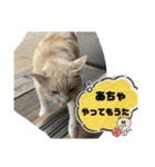 のりお＆あさりV2（個別スタンプ：35）