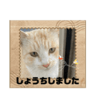 のりお＆あさりV2（個別スタンプ：38）