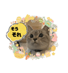のりお＆あさりV2（個別スタンプ：39）