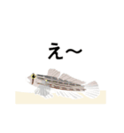 fish in the sea 6（個別スタンプ：8）