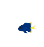 fish in the sea 6（個別スタンプ：17）