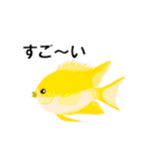 fish in the sea 6（個別スタンプ：23）