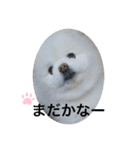 もこもこまろスタンプ（個別スタンプ：7）