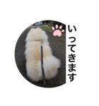 もこもこまろスタンプ（個別スタンプ：18）