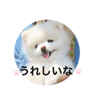 もこもこまろスタンプ（個別スタンプ：27）
