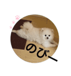 もこもこまろスタンプ（個別スタンプ：28）