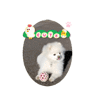 もこもこまろスタンプ（個別スタンプ：32）