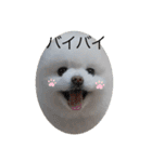 もこもこまろスタンプ（個別スタンプ：35）