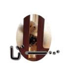犬（チワワ）スタンプ（個別スタンプ：9）