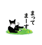 【動く】ハチワレ猫☆家族連絡用（個別スタンプ：10）
