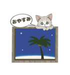 【夏だよ】仔猫のぽんにゃん【飛び出す】（個別スタンプ：5）