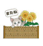 【夏だよ】仔猫のぽんにゃん【飛び出す】（個別スタンプ：6）