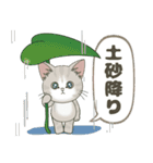 【夏だよ】仔猫のぽんにゃん【飛び出す】（個別スタンプ：10）