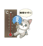 【夏だよ】仔猫のぽんにゃん【飛び出す】（個別スタンプ：15）