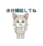 【夏だよ】仔猫のぽんにゃん【飛び出す】（個別スタンプ：20）