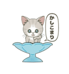 【夏だよ】仔猫のぽんにゃん【飛び出す】（個別スタンプ：21）