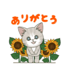 【夏だよ】仔猫のぽんにゃん【飛び出す】（個別スタンプ：23）