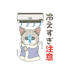 【夏だよ】仔猫のぽんにゃん【飛び出す】（個別スタンプ：24）