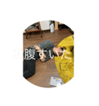 まいまいねむねむスタンプ（個別スタンプ：5）