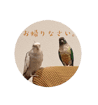 Minchopila6（個別スタンプ：17）