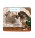 Minchopila6（個別スタンプ：25）