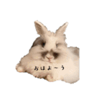 Minchopila6（個別スタンプ：27）