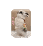 Minchopila6（個別スタンプ：31）