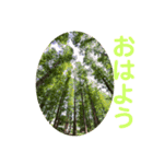 さとうひろえ④（個別スタンプ：2）