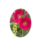 さとうひろえ④（個別スタンプ：4）