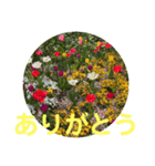 さとうひろえ④（個別スタンプ：5）