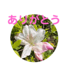 さとうひろえ④（個別スタンプ：7）