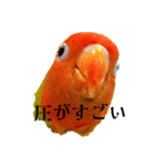我が名はピノ氏3（個別スタンプ：23）