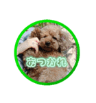 まろかのスタンプ（個別スタンプ：13）