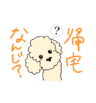 まなぐりスタンプ時々イッヌ（個別スタンプ：8）