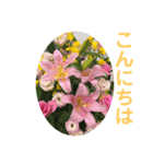 さとうひろえ⑤（個別スタンプ：3）