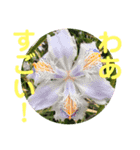 さとうひろえ⑤（個別スタンプ：4）