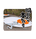 げんぞう スタンプ（個別スタンプ：26）