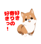 好き好き柴犬スタンプ（個別スタンプ：12）