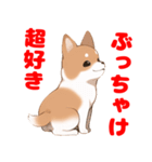 好き好き柴犬スタンプ（個別スタンプ：15）