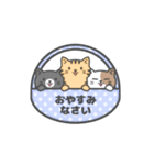 動く！シンプルにゃんこ（個別スタンプ：22）