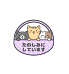 動く！シンプルにゃんこ（個別スタンプ：23）