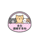 動く！シンプルにゃんこ（個別スタンプ：24）