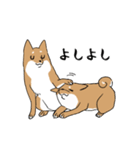 普段づかいできる犬（柴）（個別スタンプ：3）